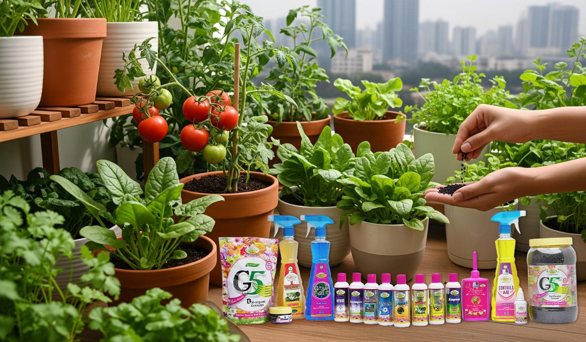 Urban Gardening: Growing Your Own Food in the City