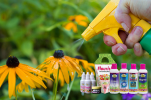 Foliar Sprays