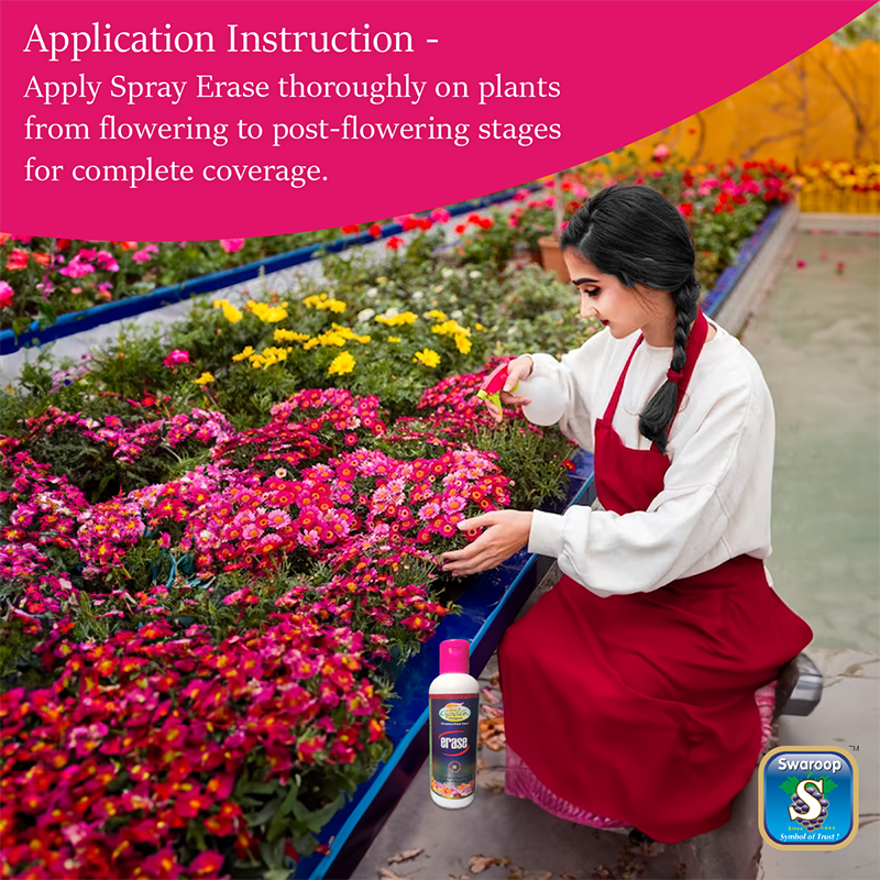 Erase - 100 ml
