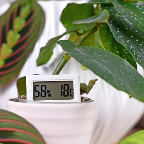 Humidity and Cooling