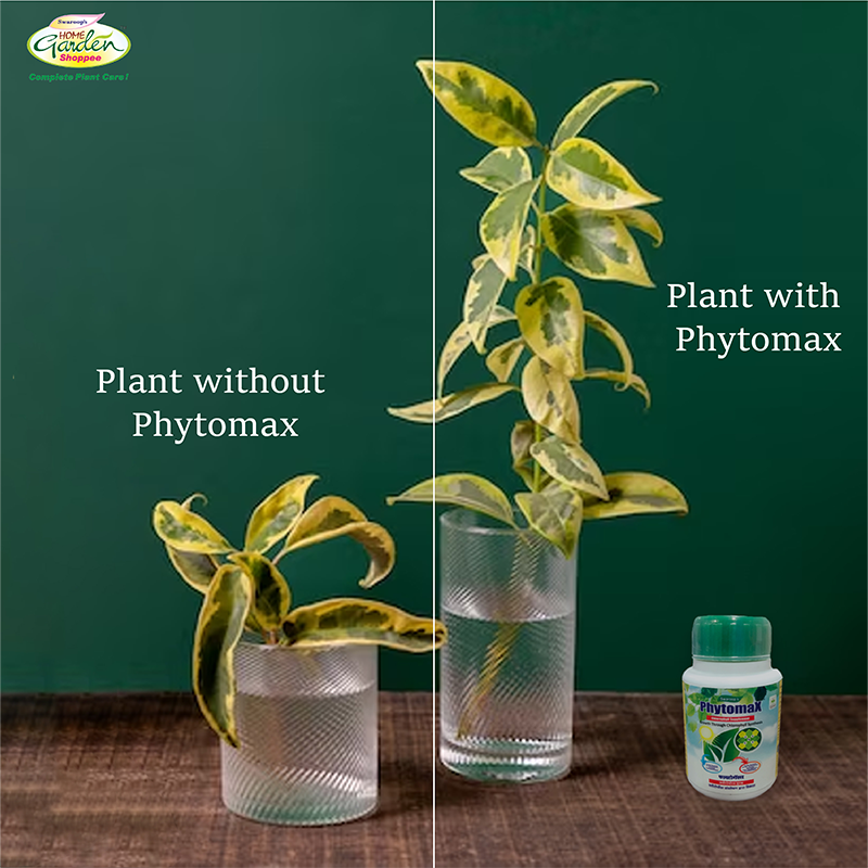 Phytomax