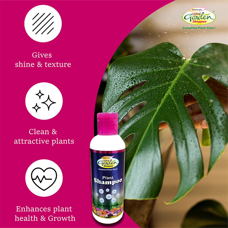 Plant Shampoo - 100 ml