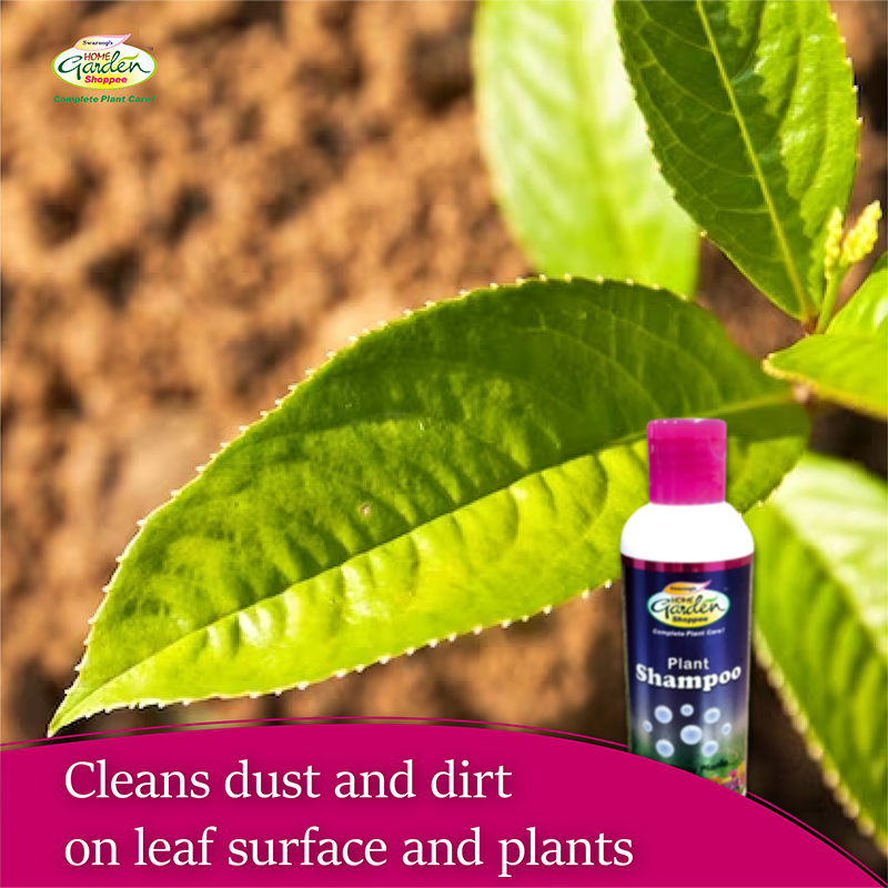 Plant Shampoo - 100 ml