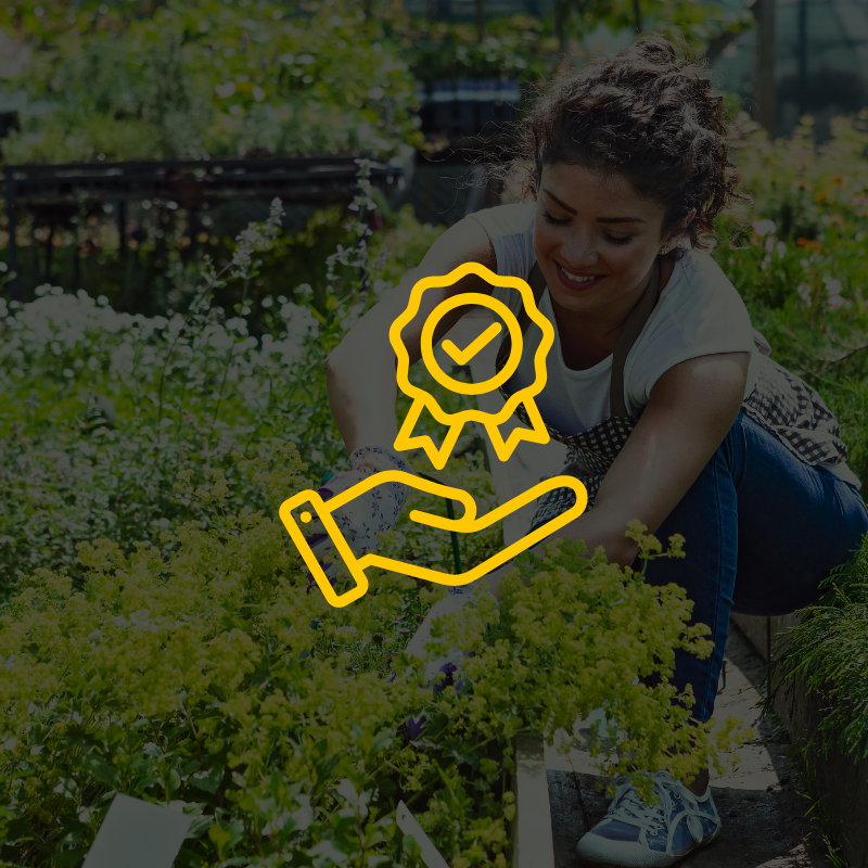 Quality You Can Trust