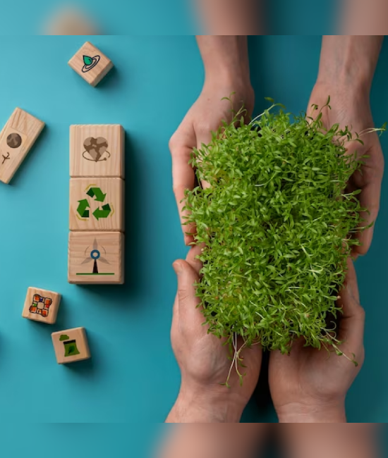 Our Commitment to Sustainability