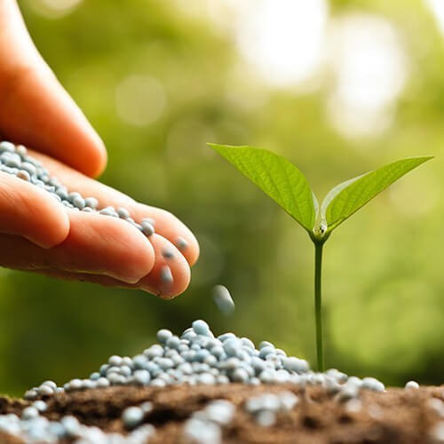 Fertilizers